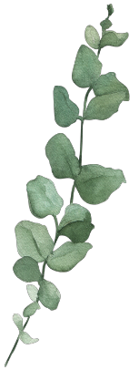 watercolor eucalyptus