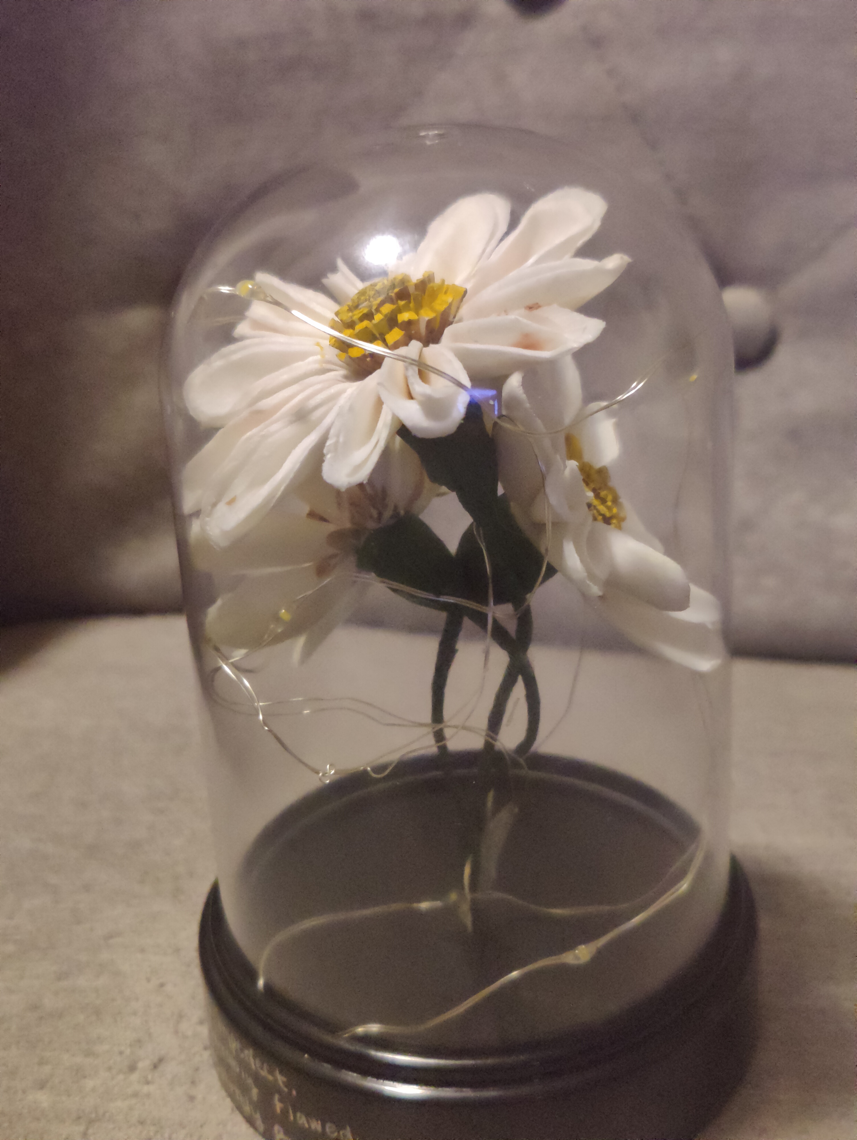 forever dome with daisies and fairy lights